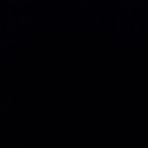 Meet your Posher, Gerson